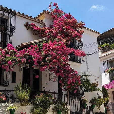 Tranquil Beachfront Mar Azul