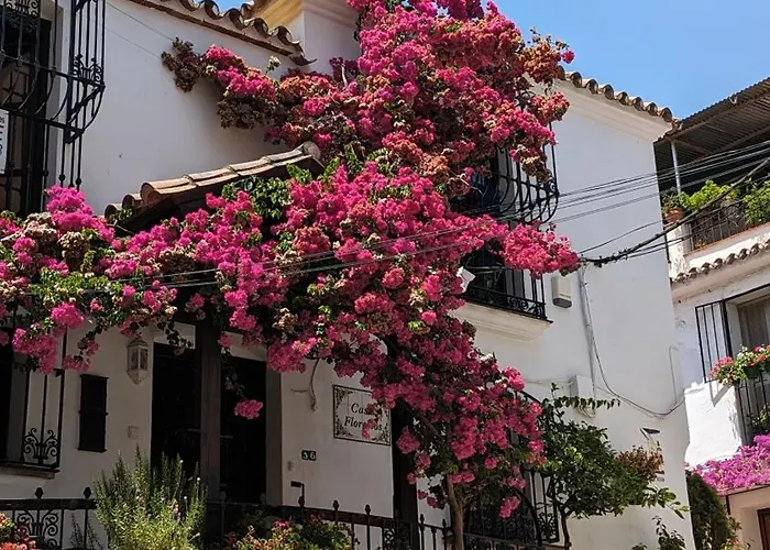 Tranquil Beachfront Mar Azul